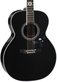 Takamine Guitars :: Guitars By Series